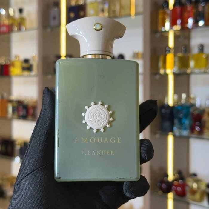 AMOUAGE MEANDER-100ML